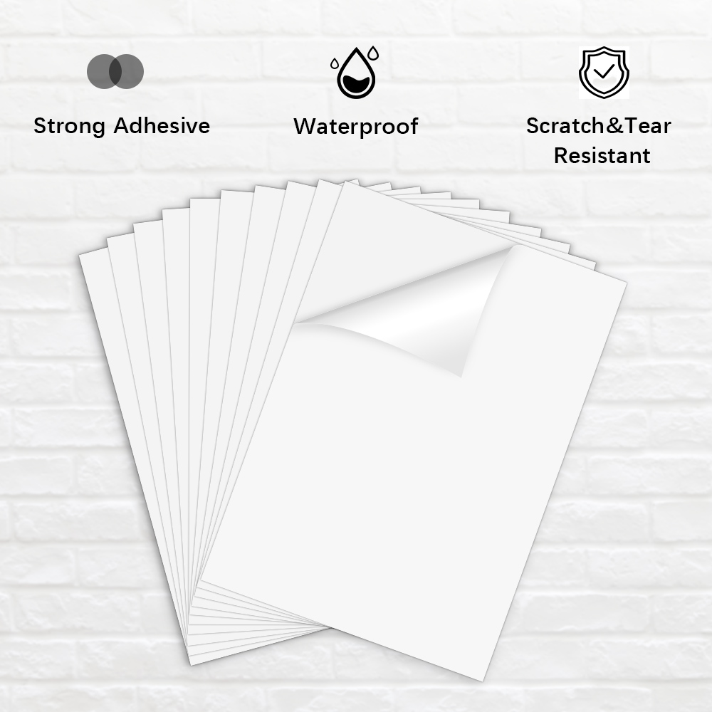 20/50 แผ่น Matte พิมพ์ไวนิลสติ - Commercial Vinyl Printing บทวิจารณ์และราคา